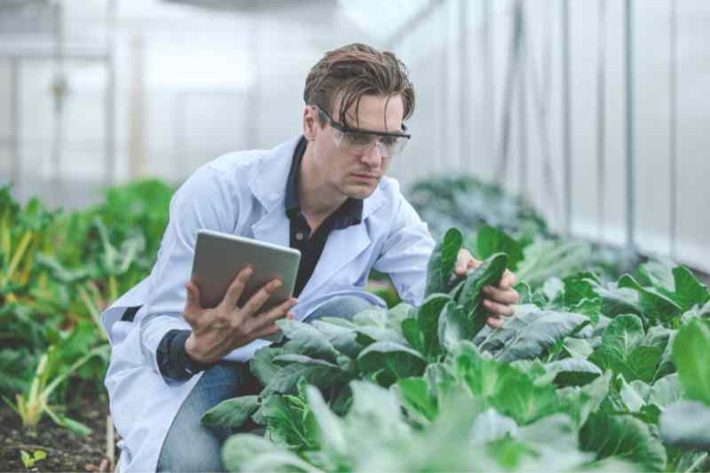 How to become an agricultural scientist after class XII